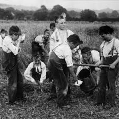 Virginia was the first state to have Future Farmers clubs for boys.