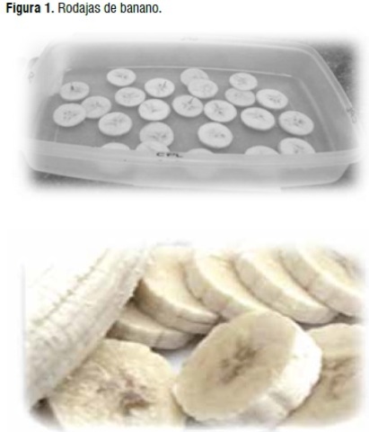 Claudia Liliana Zuluaga G.  Luisa Fernanda Puerta ingenieras agroindustriales de la universidad san buenaventura