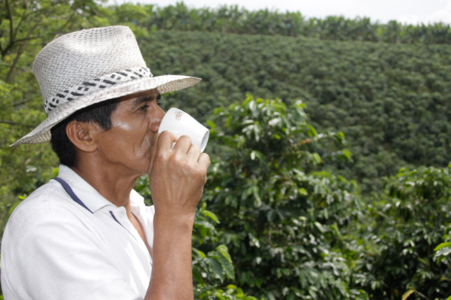 fabian torres ingeniero agroindustrial de la gran colombia