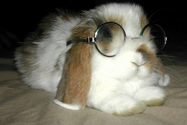 Jacqueline a parlé à un psychologue