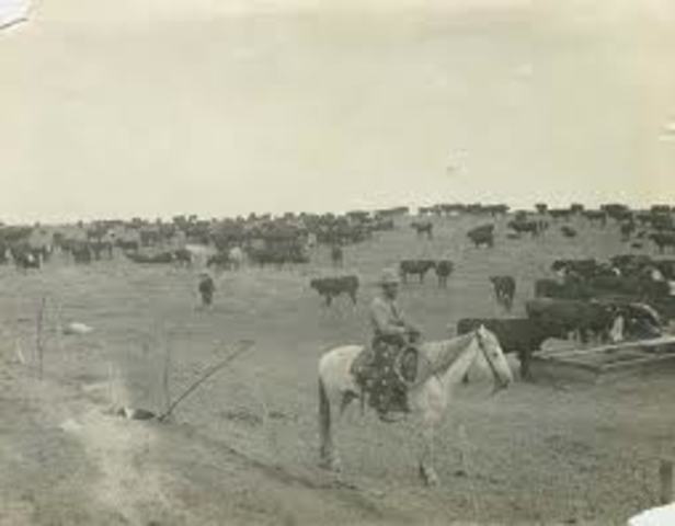 Found new temporary camp