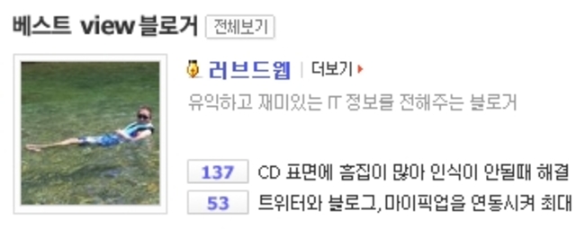 다음뷰 베스트 view 블로거 선정