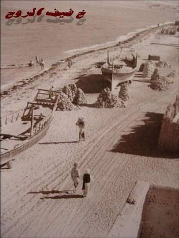 زايد حاكم للعين