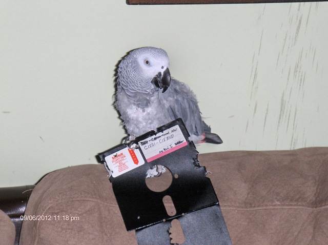 5.25 Inch Floppy Disk was made