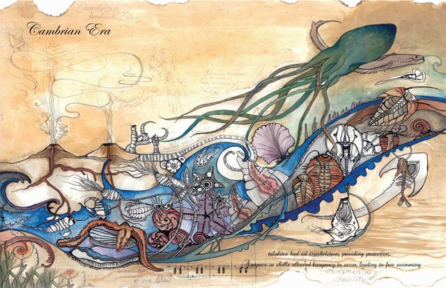 Cambrian Explosion (*actual date is 50 million years ago)