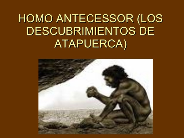 Homo antecessor: 1.2 y 780.000años