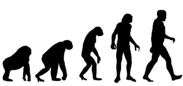 Teoría de Darwin a las 23:59 min. 59 segundos 51 milésimas