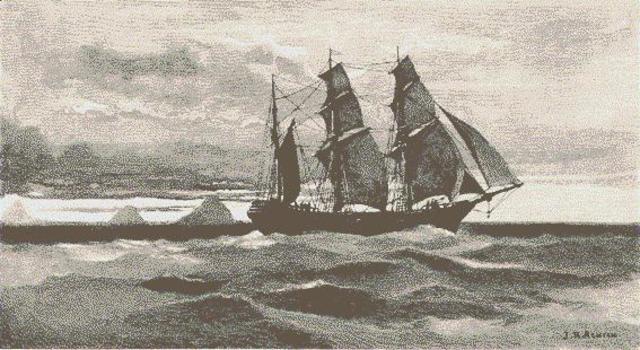 Pamphlett, Finnegan and Parsons