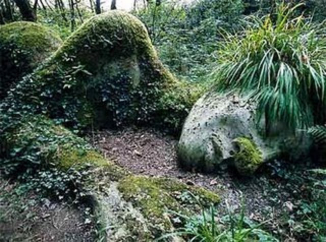 Aparición de la vida en la Tierra