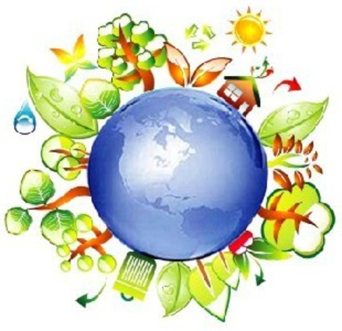 Educación Ambiental Como Medio de Vida