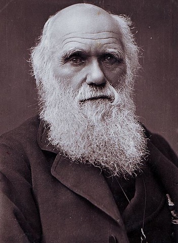 Darwin's 1st Essay
