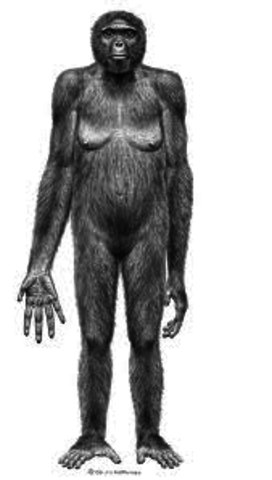 4,4 MILLONES DE AÑOS