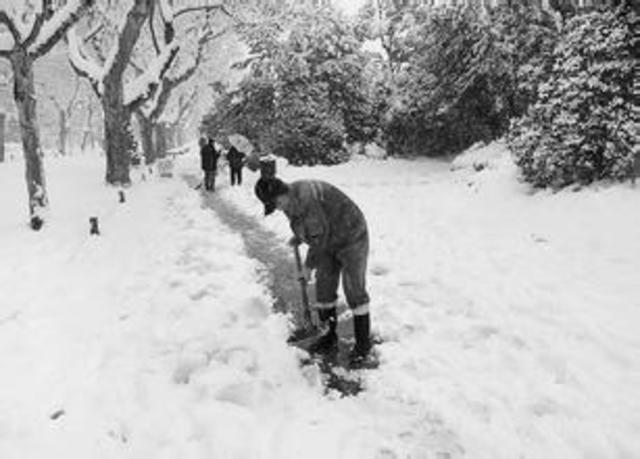 knowed how to shovel snow.