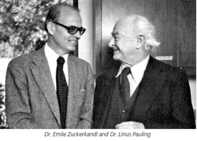 Journal of Molecular Evolution