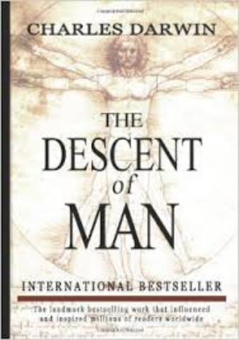 The Descent of Man