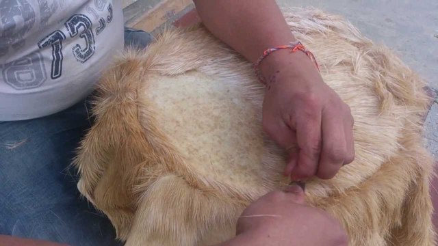 Se establece la herencia