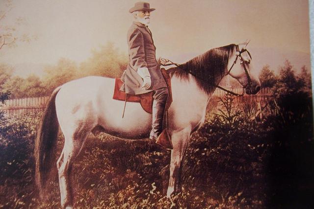 Lee named commander of Confederate forces