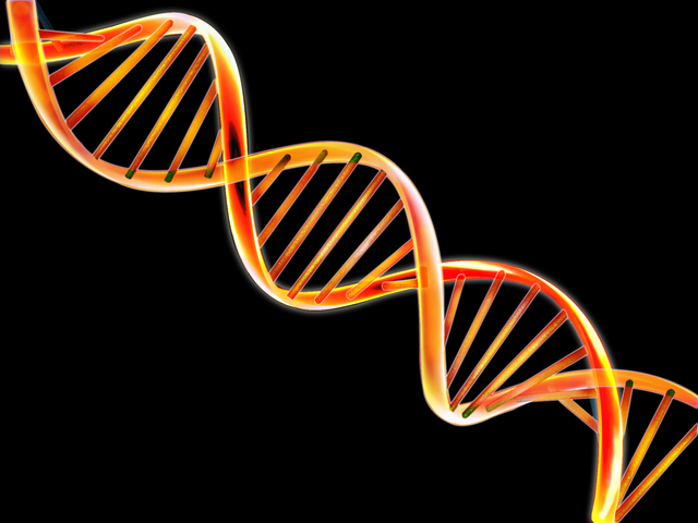 James Watson and Francis Crick's paper on DNA structure