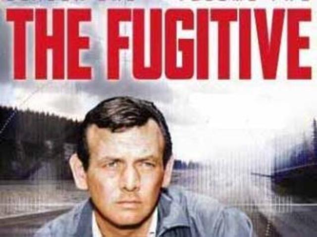The Fugitive finale
