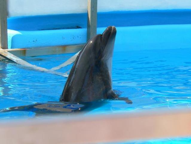 Day Fourteen, Constanta