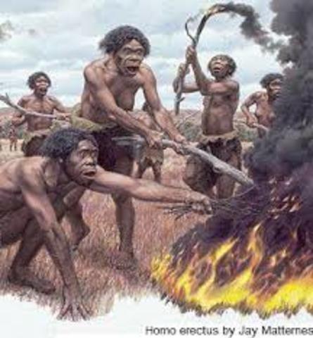 Dominio del fuego: Homo erectus  (22h 26min 34s)