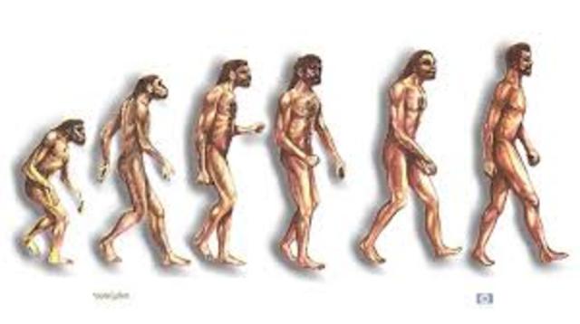 Aparición del lenguaje