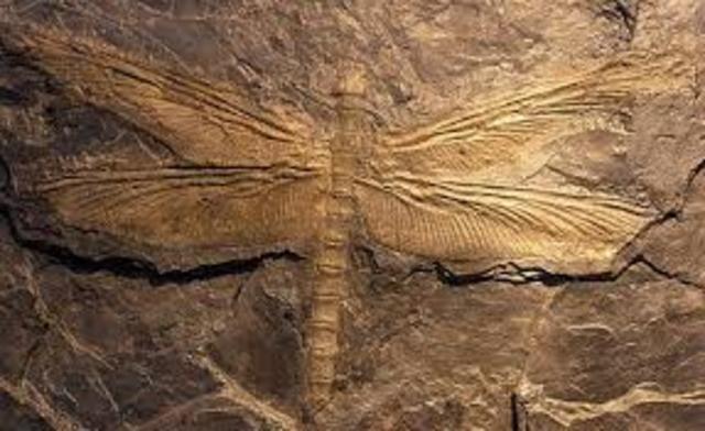 Extinción de Devónico Carbonifero (31 dias 3 horas 12 seg)