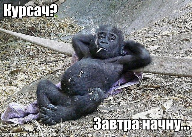 День осознания предстоящей работы и составление ее плана