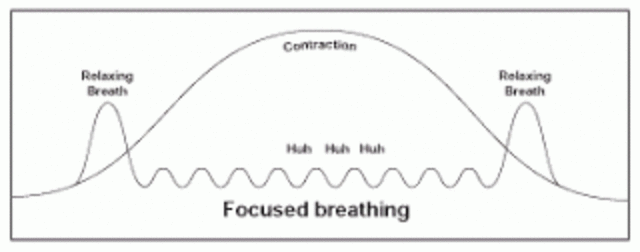 Early Signs of Labor