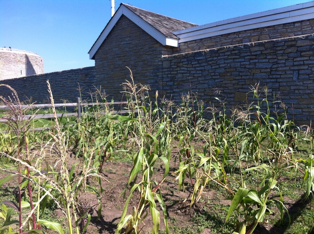 Second Letter/ Unknown Date or Place