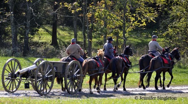 The first time with horses