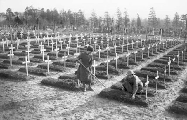 World War I’s Legacy