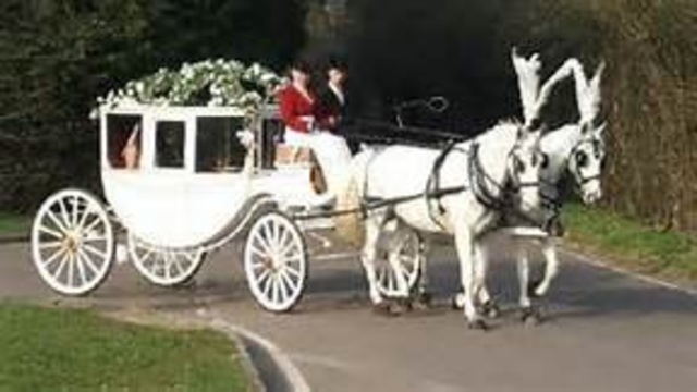 Holmes is Married AGIAN