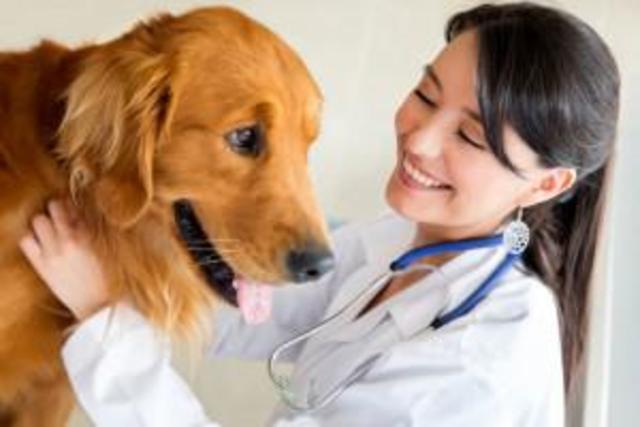 Primera Mujer Veterinaria