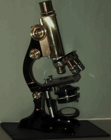 Escuelas importantes