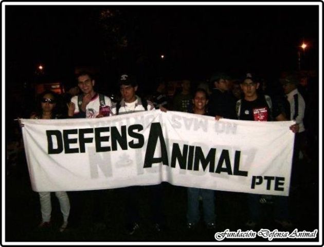 Primer Marcha defensa animal
