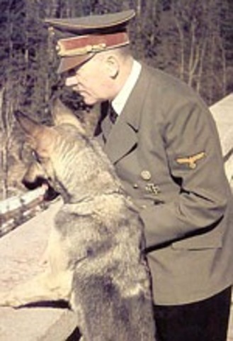 Primer Defensor animal