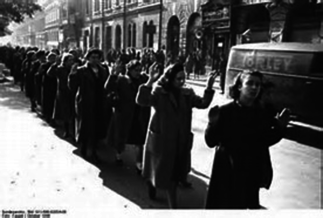 Nazis begin rounding up Jews for labor camps