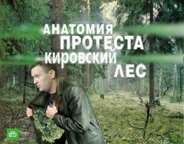 кировлес-доследственная проверка