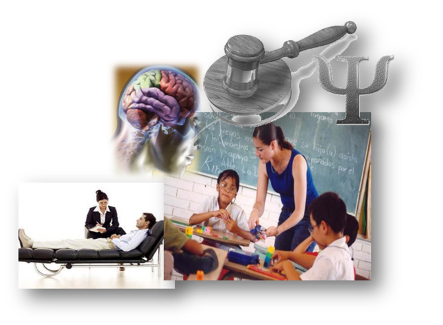 Inclusão da disciplina