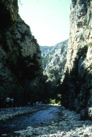 Batalla de las Termópilas