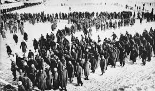 Germans surrender at Stalingrad
