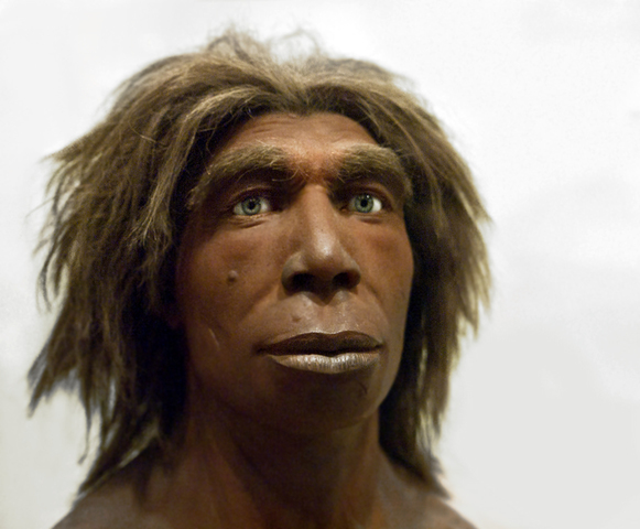 HOMO HEIDELBERGENSIS Y HOMO RHODESIENSIS
