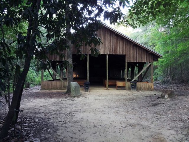 1st year at Camp Wiregrass