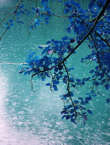 There Will Come Soft Rains