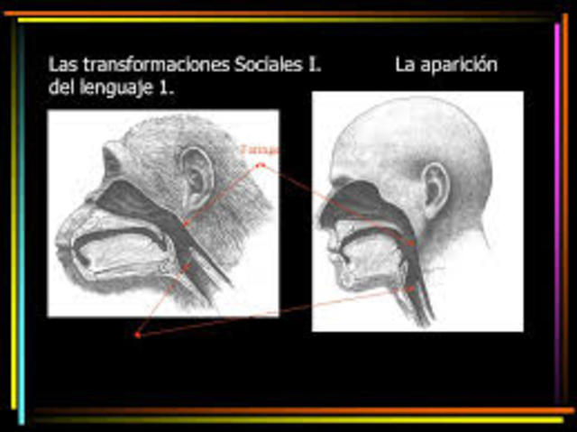 Aparición del lenguaje (23:39)
