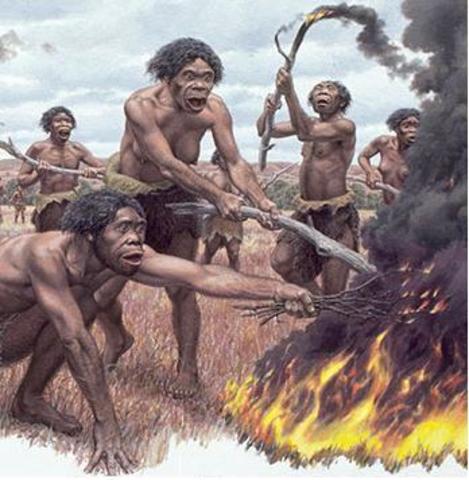 Dominio del fuego : Homo Erectus (22:20)