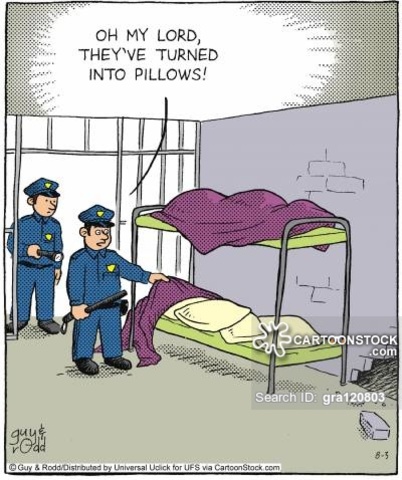 New South Wales was officially a penal