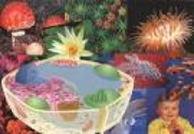 se creó el telescopio