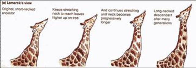 Jean-Baptiste Lamarck